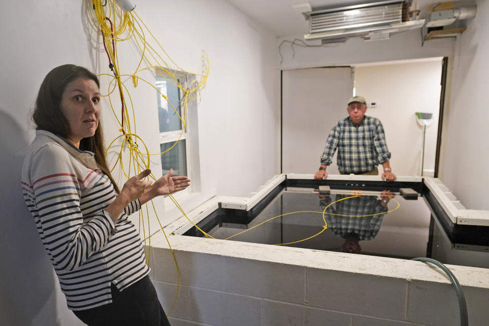 Paige Pollard, of Building Resilient Solutions, left, gestures as she describes the process of testing wood along with Kerry Shackelford, right, at their lab Tuesday, Oct. 4, 2022, in Suffolk, Va. Whenever historic homes get flooded, building contractors often feel compelled by government regulations to rip out the water-logged wood flooring, tear down the old plaster walls and install new, flood-resistant materials. But Virginia restorers Paige Pollard and Kerry Shackelford say they can prove that historic building materials can often withstand repeated flooding. (AP Photo/Steve Helber)