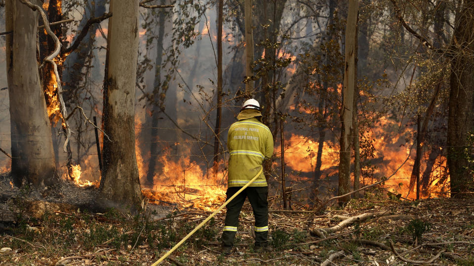 A National Parks and Wildlife crew member fights flames at Half Chain road at Koorainghat, near Taree in the Mid North Coast region of NSW.