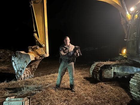 New York Department of Environmental Conservation Officer Joshua Jarecki holds a bear cub he rescued from the cab of an excavator in Wilna, New York, in March. The cub went to Friends of the Feathered and Furry Wildlife Center in Greene County.