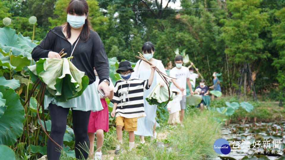 觀音區蓮花園休閒農業協會將舉辦「荷田小廚房」體驗活動。