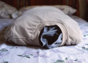 <p>“The two shirts and the pillow came back, so I kept this. And that’s how I sleep with them I pretend that it’s him. It’s not him but I pretend.” From a conversation with Emily Toro, mother. (Photograph by Inbal Abergil) </p>