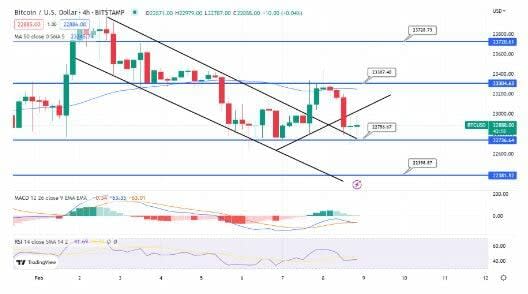 Bitcoin marca soporte en los 23.000 dólares, ¿hacia dónde podría ir?