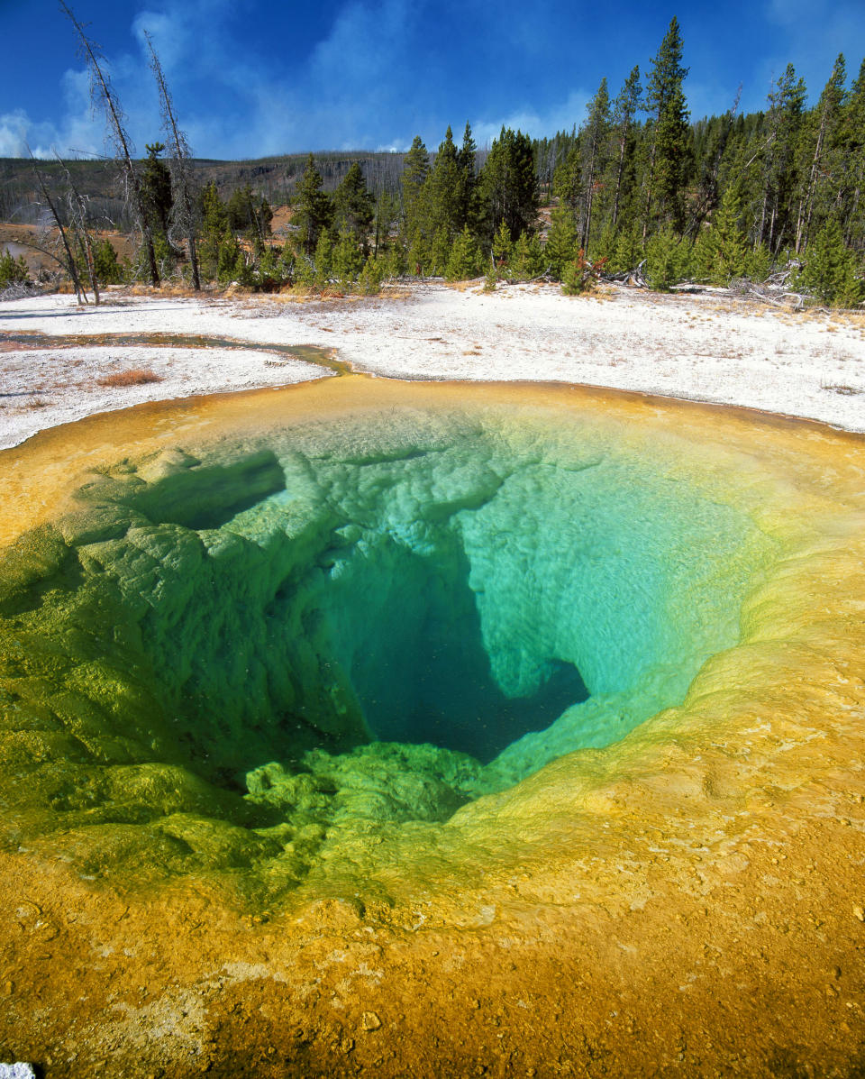 <b>The Beauty Pool of Yellowstone National Park</b> - The hot spring allows luminous algae and bacteria to flourish creating a vivid array of colors. (Francois Gohier/Ardea/Caters News)