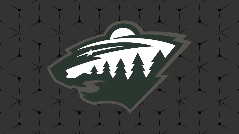 The team’s logo represents an optical illusion. The logo itself revolves around a forest landscape at night. This composition can also be interpreted as a silhouette of a stylized wild animal.