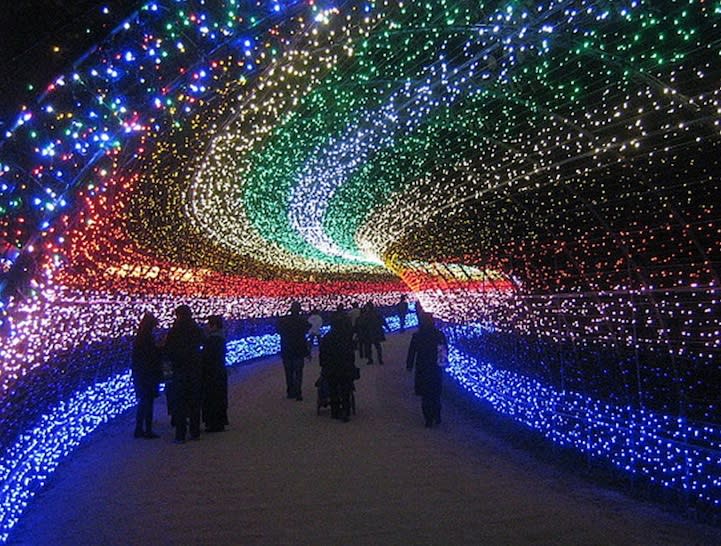 A small crowd ambles through one of the many tunnels of light. <a href="http://www.mymodernmet.com/profiles/blogs/nabana-no-sato-tunnel-japan" rel="nofollow noopener" target="_blank" data-ylk="slk:(Misocutlet / My Modern Met);elm:context_link;itc:0;sec:content-canvas" class="link ">(Misocutlet / My Modern Met)</a>