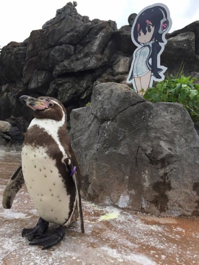 Tobu Zoo penguin