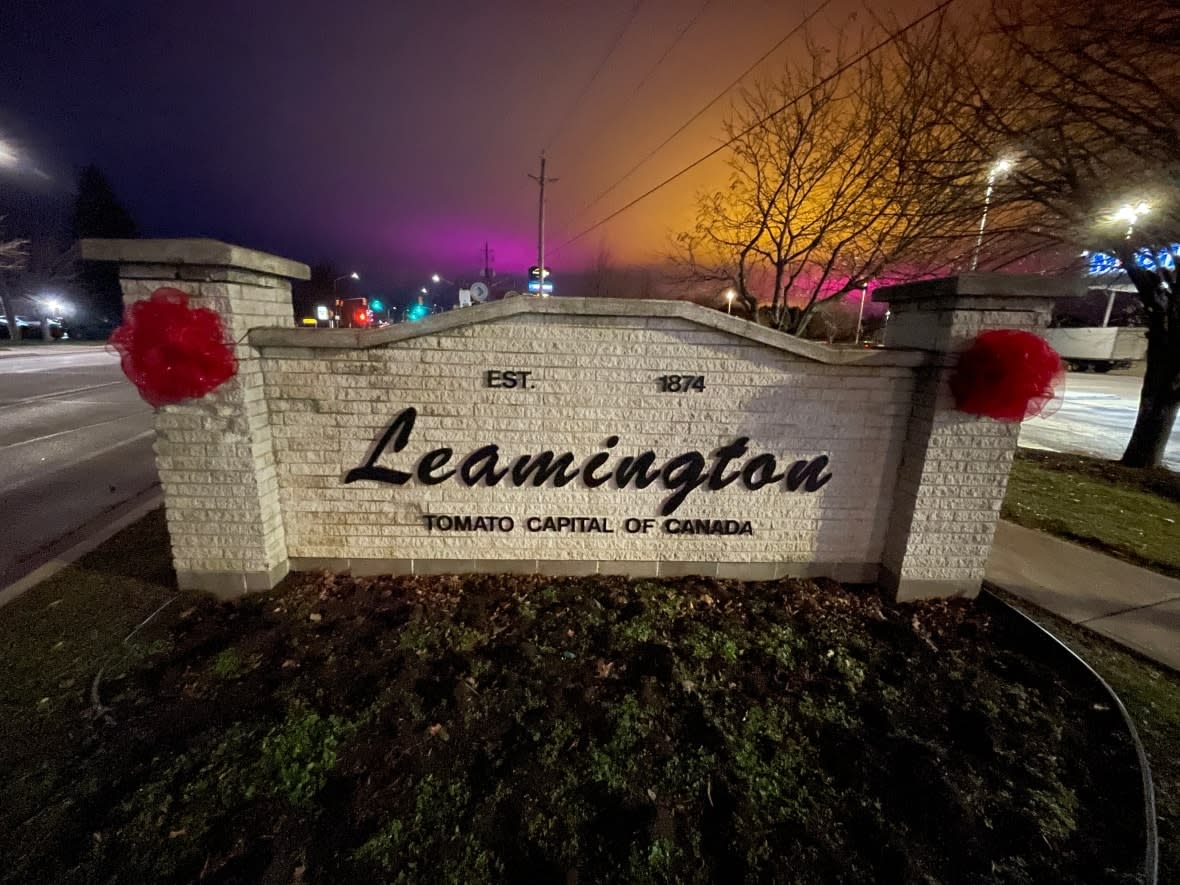 Lights from greenhouses are seen in the sky above the Leamington sign. (Chris Ensing/CBC - image credit)