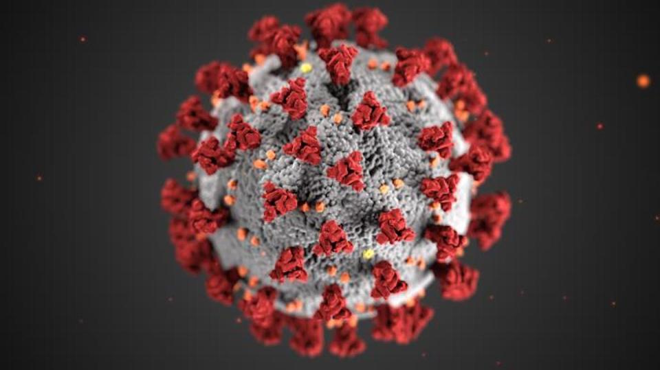 This illustration, created by the Centers for Disease Control and Prevention, depicts the notorious spiked structure of the virus that causes COVID-19. <a href="https://phil.cdc.gov/Details.aspx?pid=23311" rel="nofollow noopener" target="_blank" data-ylk="slk:Alissa Eckert, MSMI; Dan Higgins, MAMS via CDC;elm:context_link;itc:0;sec:content-canvas" class="link ">Alissa Eckert, MSMI; Dan Higgins, MAMS via CDC</a>