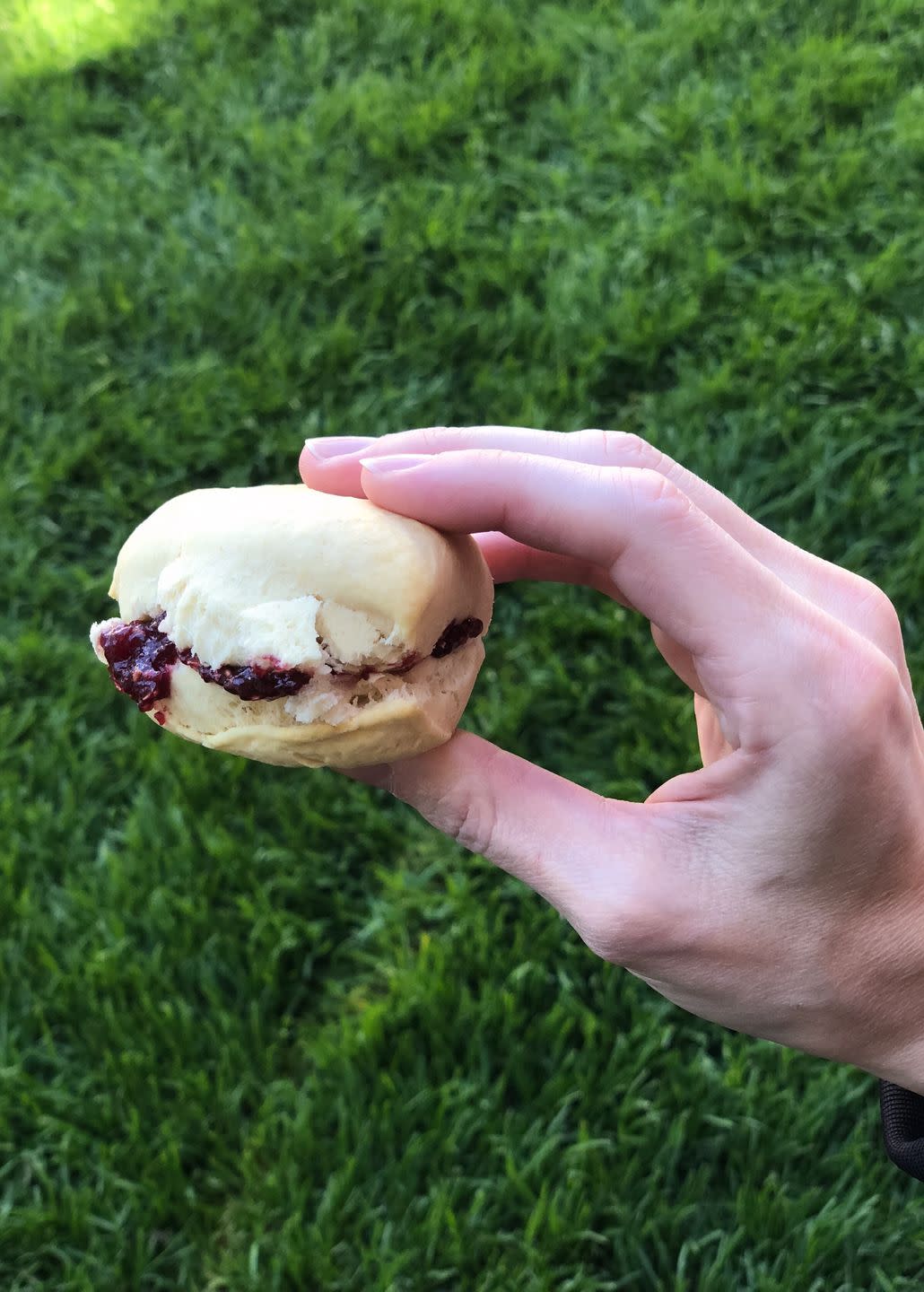 best state fair foods washington scone