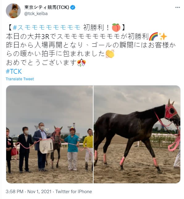 「Sumomomomomomomomo」贏得首勝。（圖／翻攝自推特＠東京シティ競馬(TCK)）