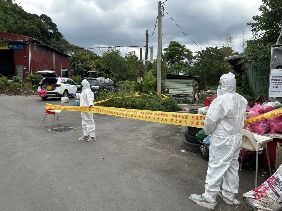 泰山區泰林路3段330巷雨水下水道出現豬屍，拉起防疫封鎖線。（新北動保處提供）