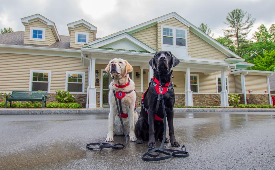 NEADS service dogs sit proudly in front of the new breeding center facility.