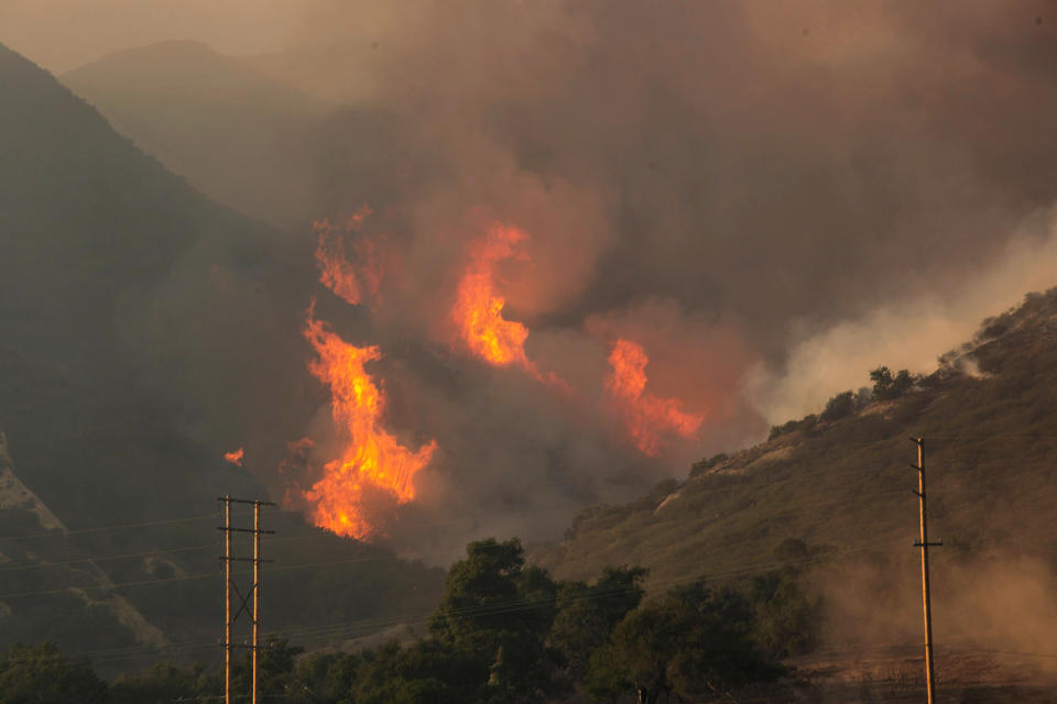 Image: Alisal fire burns near Santa Barbara, California (Aude Guerrucci / Reuters)