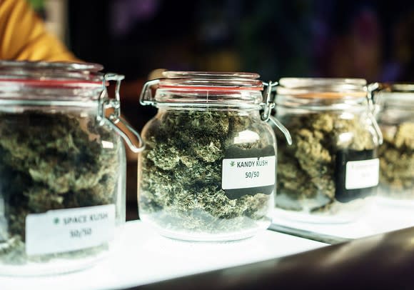 Multiple clear jars filled with branded cannabis strains on a dispensary counter.