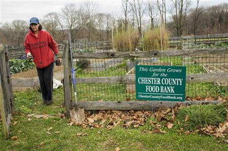 Barbara Boyle, a volunteer at the farm on Springton Manor, walks out of a vegetable garden where fresh produce for the Chester County Food Bank is grown in suburban Philadelphia, Pennsylvania November 21, 2013. REUTERS/Tom Mihalek