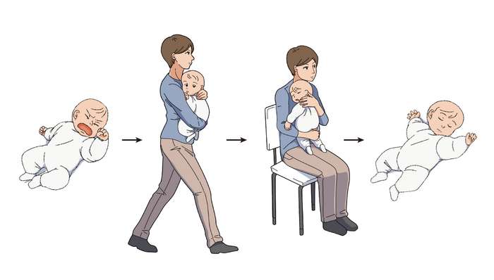 D’après les chercheurs, une marche d'environ 5 minutes, suivie d'une position assise d'environ 8 minutes, devrait contribuer à calmer les bébés et à les endormir. © Ohmura et al. Current Biology (2022)
