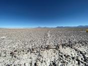 A view of Pedernales Salt Flat in the Atacama Desert