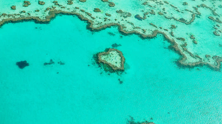 <span class="caption">Protecting the Barrier Reef.</span> <span class="attribution"><span class="source">Shutterstock</span></span>