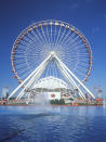 <p>Chicago welcomed the very first Ferris wheel at the World's Columbian Exposition of 1893, and its own giant wheel recently got a makeover, replacing small red boxes with enclosed pods just before the COVID-19 pandemic hit.</p>