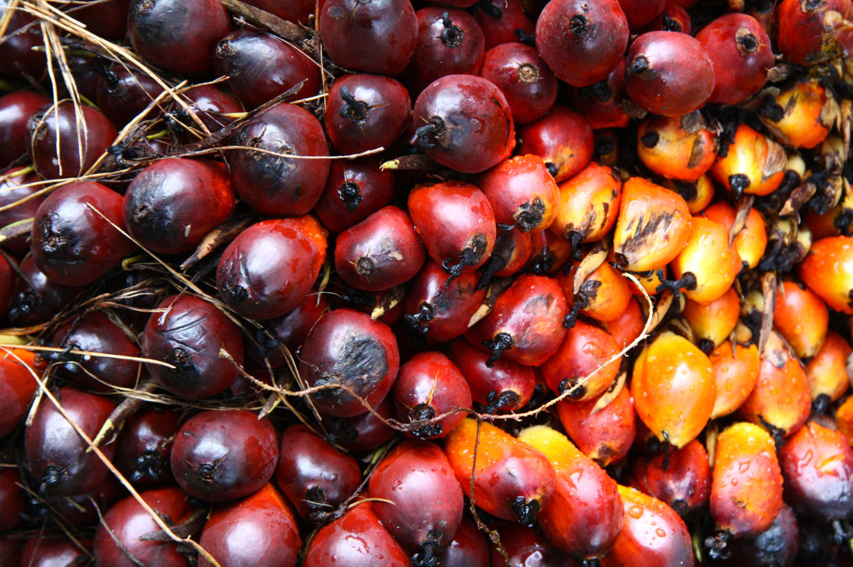 Palm oil is the most produced, consumed and traded vegetable oil in the world. (Photo: SOPA Images via Getty Images)