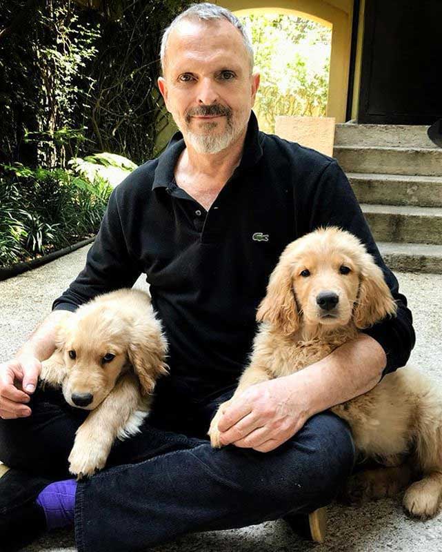 Miguel Bosé, con sus cachorros