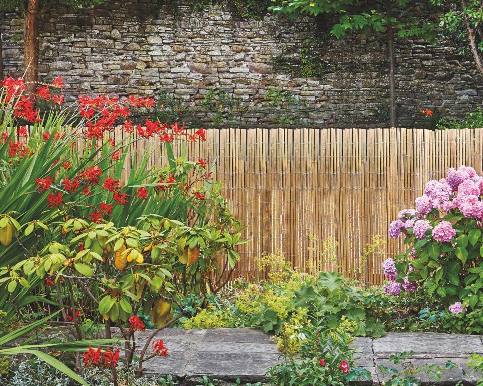 <p> If your boundaries are beyond repair, another cheap fence is to use rolls of bamboo screening. As the team at Thompson &amp; Morgan say, they&apos;re a &apos;quick and easy way to cover unsightly areas or create a stylish backdrop for plants,&apos; and if you use them for your landscaping for the front of your house there&apos;s &apos;instant kerb appeal guaranteed.&apos; </p> <p> If you would like a more botanical feel, the team suggest planting black bamboo for a tropical-like screen with a contemporary edge. &apos;Quick and easy to grow, this non-invasive variety delivers real impact, making it a garden designer favorite.&apos; </p>
