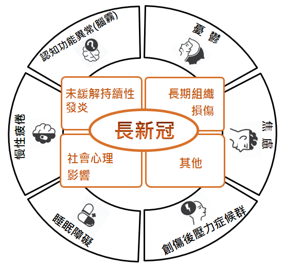 長新冠和相關神經精神症狀之病理生理學概述。(圖/安南醫院)