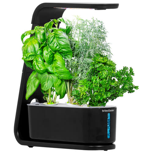 AeroGarden Sprout Hydroponic Garden System. Image via Best Buy.