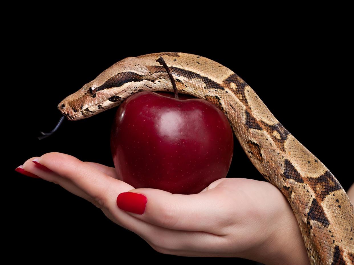 Female holding red apple and snake, photographed over black background