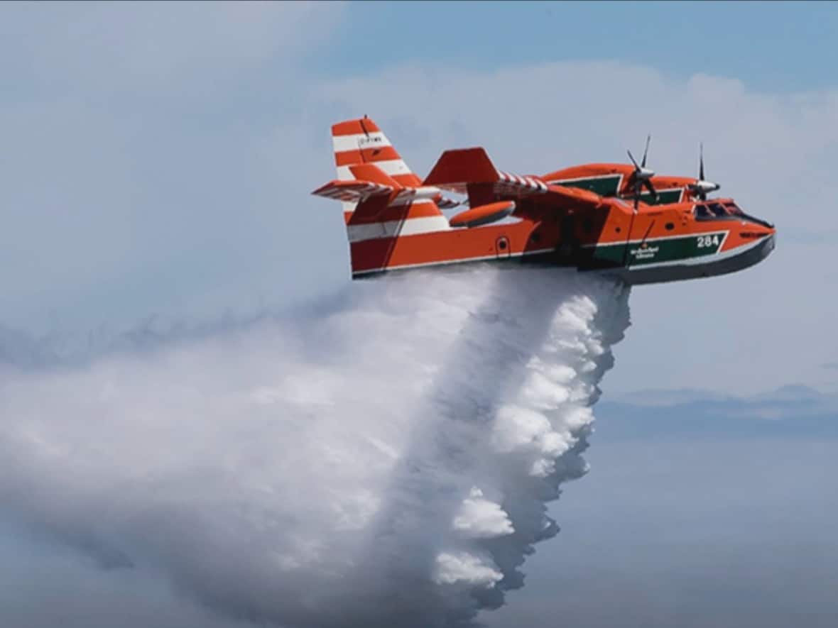 The Newfoundland and Labrador government currently has an active fleet of four water bombers to help fight fires. A fifth aircraft has been out of service since 2018. (Submitted by Bruce Mactavish - image credit)