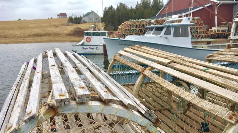 'Perfect day' for fall lobster season launch