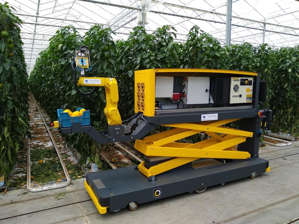 Sweeper, the pepper harvesting robot, in action. (Photo: Wageningen University)