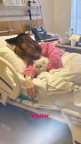 <p>kate Beckinsale/Instagram</p> Kate Beckinsale and her cat Willow