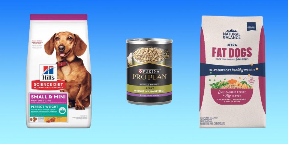 A bag of Hill's weight loss food, a can of Purina food, and a bag of Natural Balance food on a blue background.