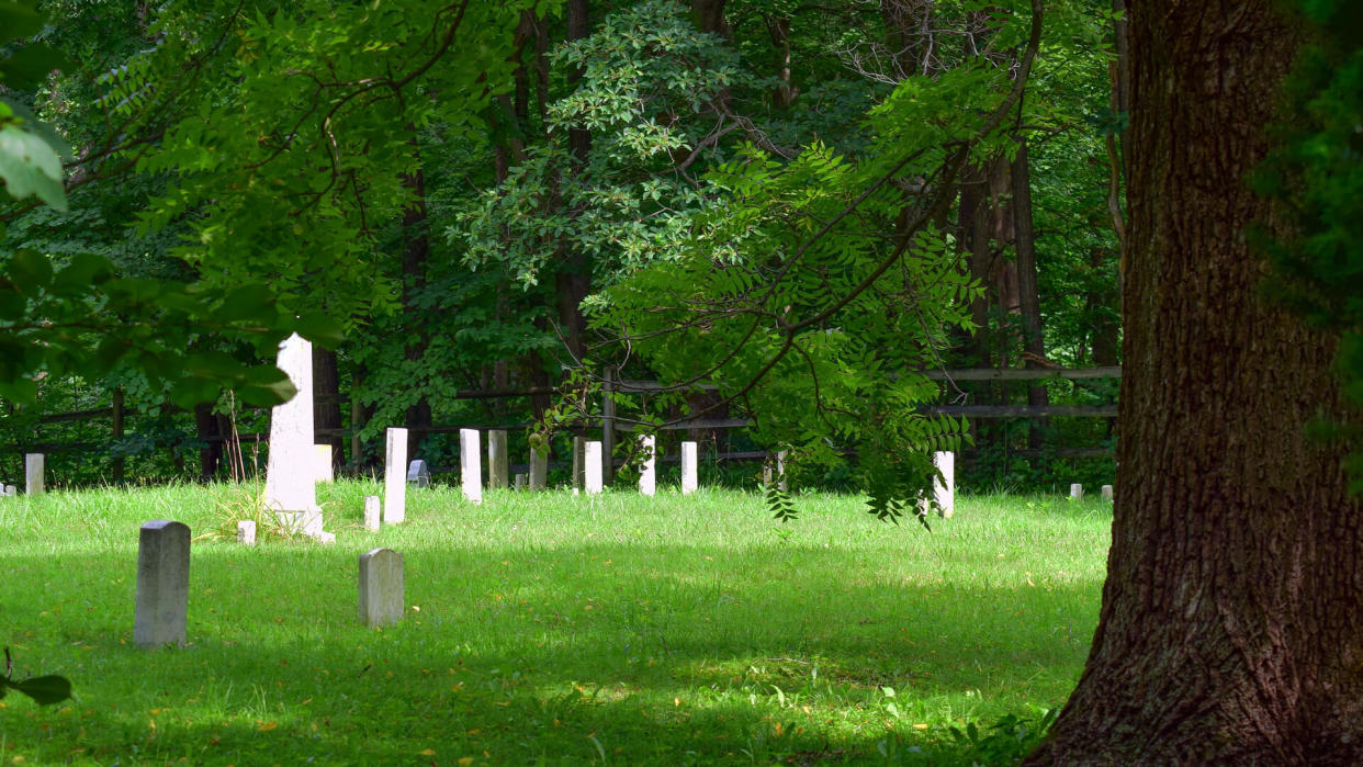 Old cemetery in the woods - Image.
