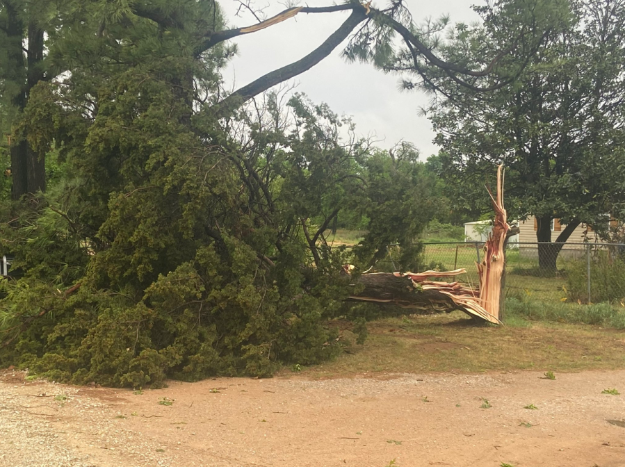 Storm damage in Bethel Acres.