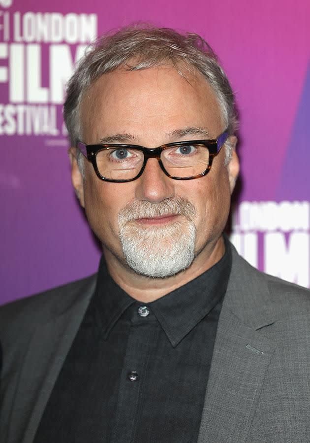 David Fincher directed the 2014 flick and is also listed on the case. Source: Getty