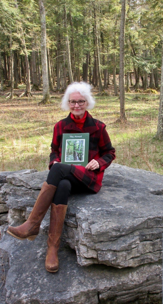 Door County art historian Virginia Jones Maher has written a new book, "The Forest," which shows artistic photos she took of the woods, individual trees, plants and wildlife on her property near Jacksonsport and explains the images like a field guide.