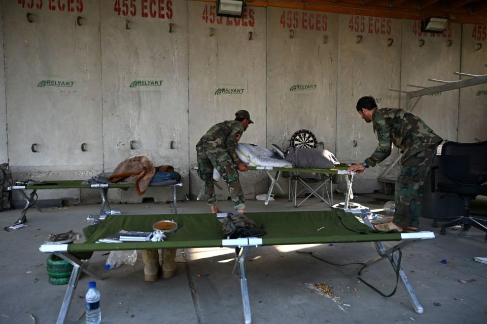 Green cots sit in a room with concrete walls.