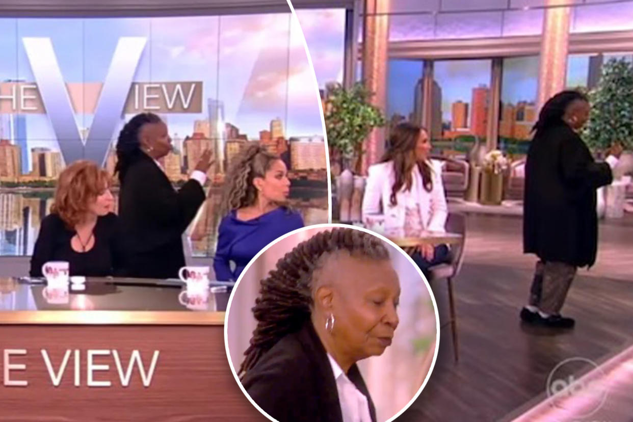 Whoopi Goldberg scolds 'The View' audience member for recording: 'Stop'