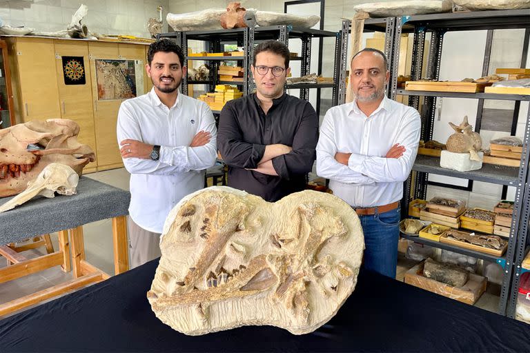 El recién descubierto 'Tutcetus rayanensis' se encontró en rocas del Eoceno medio y, sin ambigüedades, ayuda a esclarecer el panorama de la evolución temprana de las ballenas en África. El nombre de la nueva ballena se inspira tanto en la historia egipcia como en el lugar donde se encontró el espécimen.
