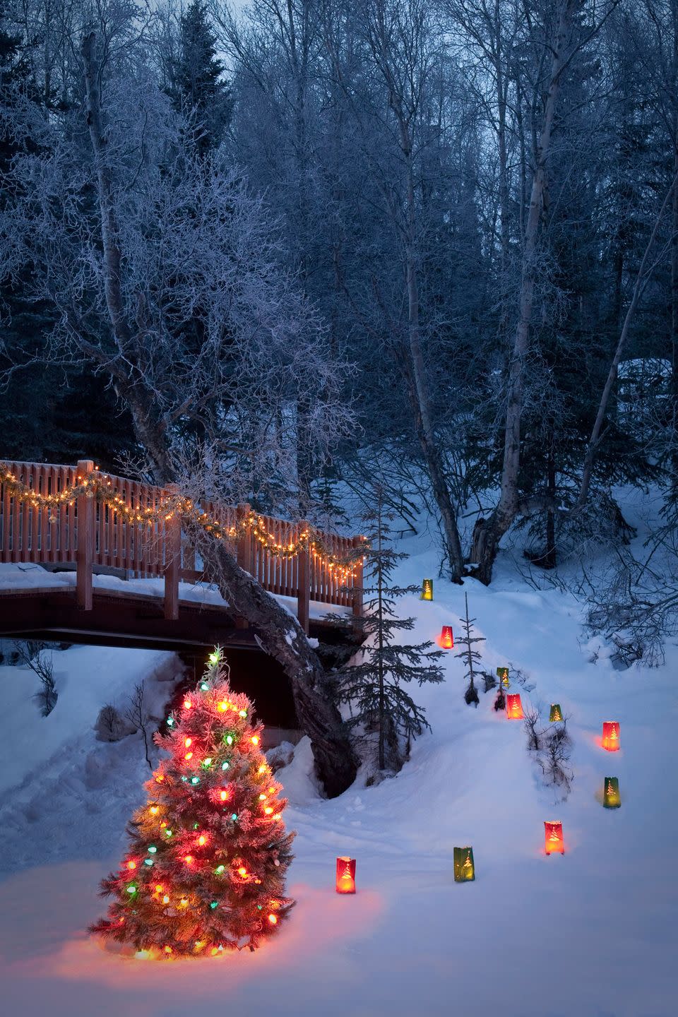 47) Visit a tree-lighting ceremony.