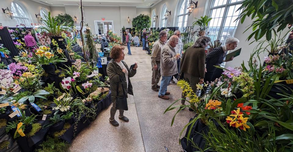 Judges walk through the 40th annual orchid show on Thursday before it opens.