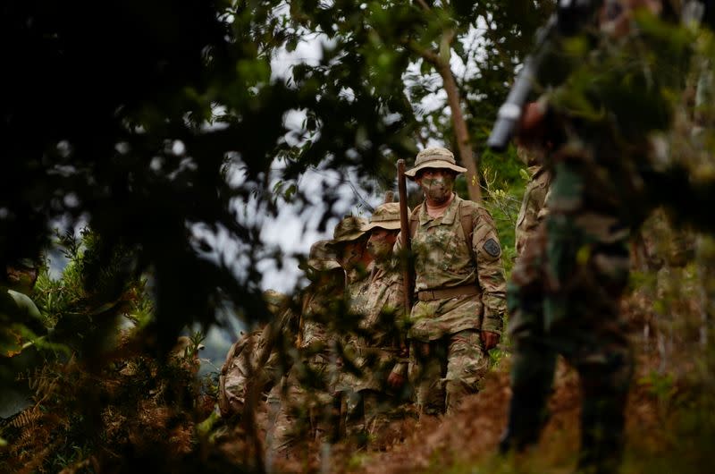 Bolivian soldiers gather to destroy illegal coca plants during an eradication program, in Los Yungas