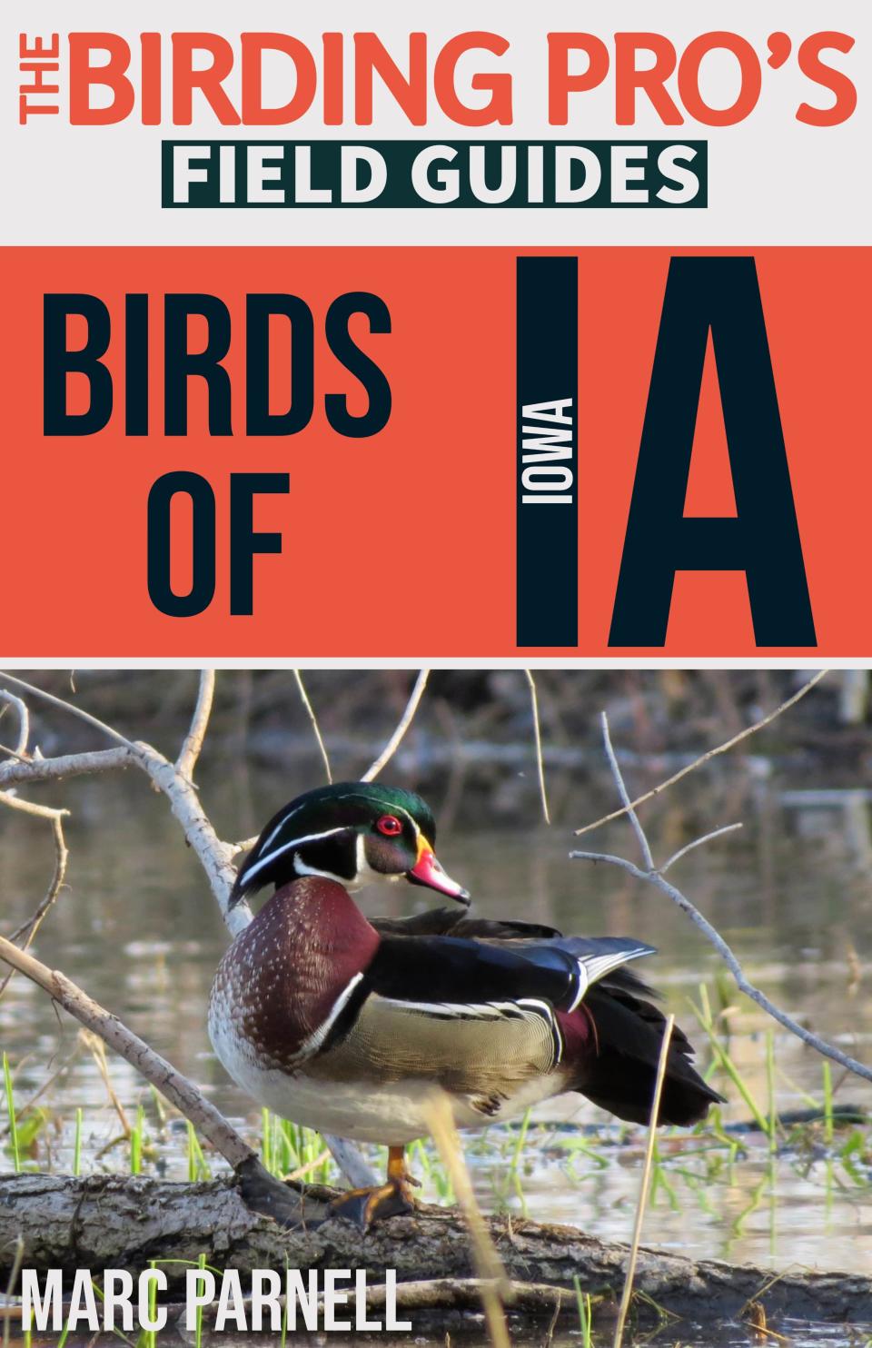 The cover of "The Birding Pro's Field Guides: Birds of Iowa" by Marc Parnell.