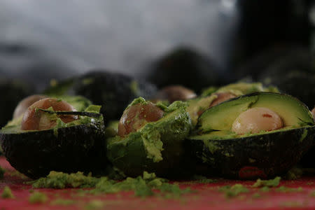 Avocados are pictured as volunteers from a culinary school attempt to set a new Guinness World Record for the largest serving of guacamole in Concepcion de Buenos Aires, Jalisco, Mexico September 3, 2017. REUTERS/Fernando Carranza