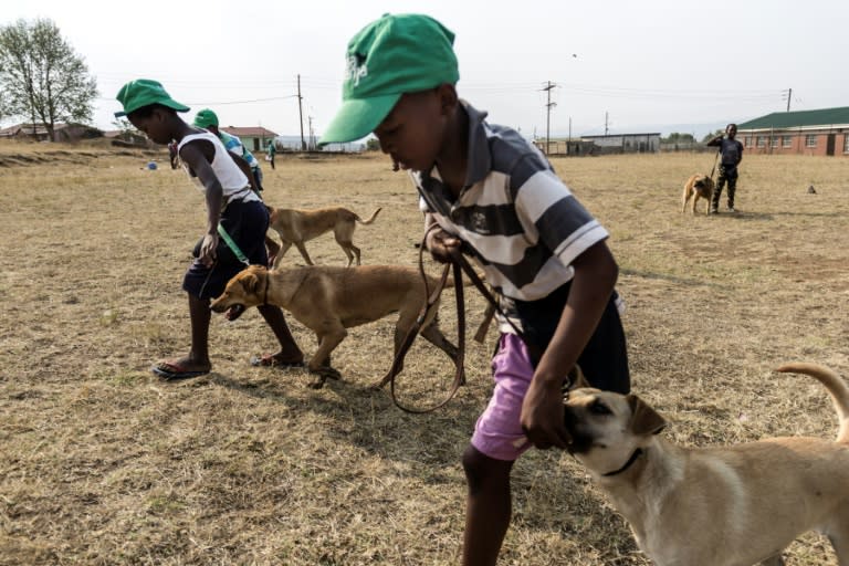 Boys take part in an exercise with their dogs as part of a volunteer-run initiative that helps children develop caring and social skills as well as handling their animals with respect