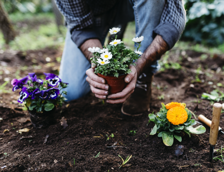 Gardening has experienced a huge boom in the UK (Picture: REX Features)