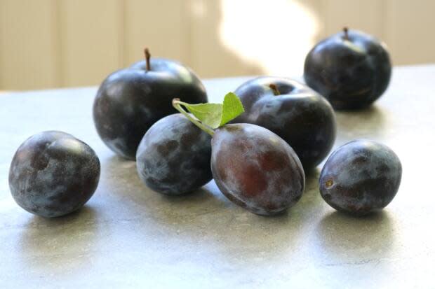 Plums. They're tasty in cakes, pies, tarts and so much more. (Julie Van Rosendaal - image credit)