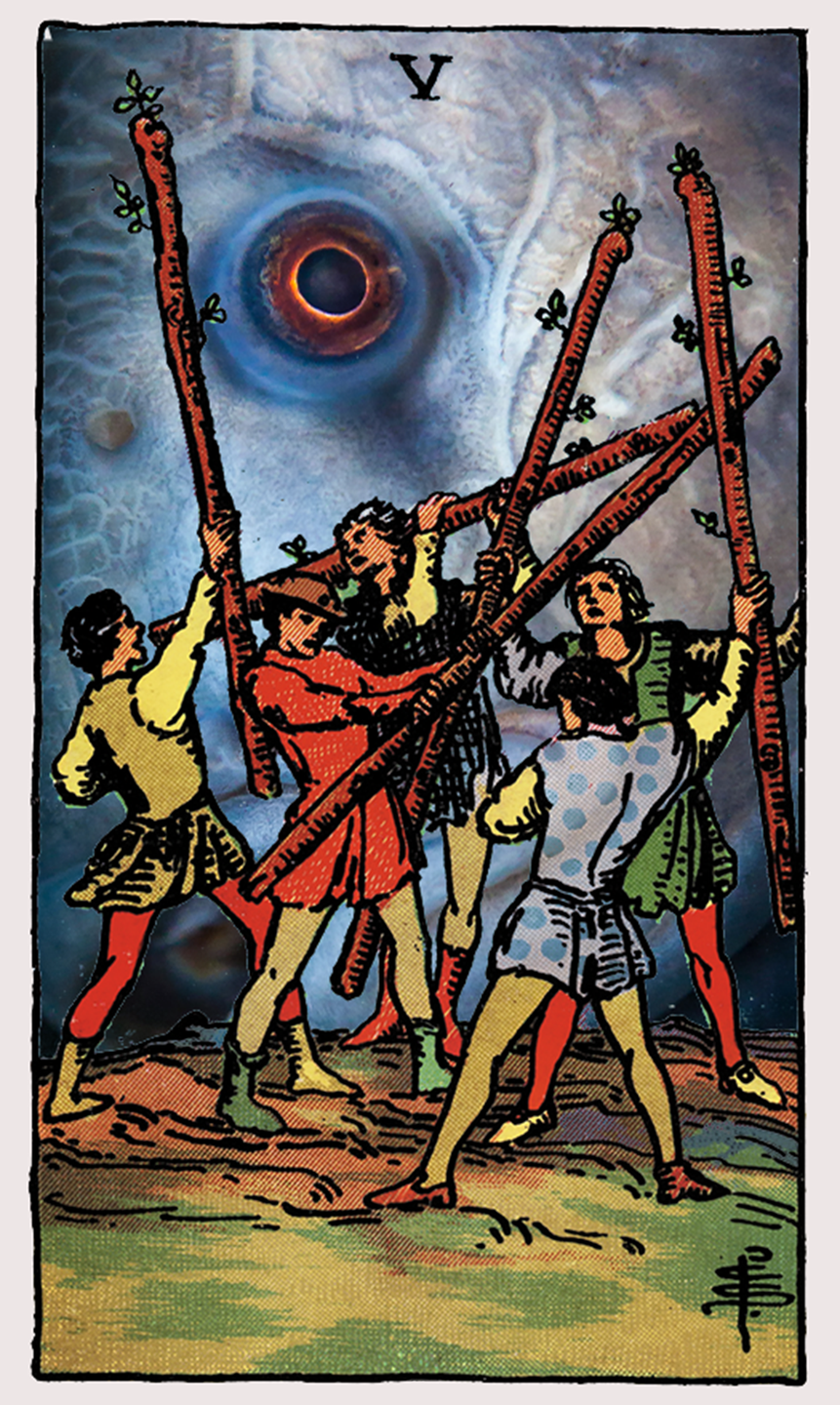 five of wands tarot card